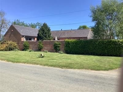 Picture 28